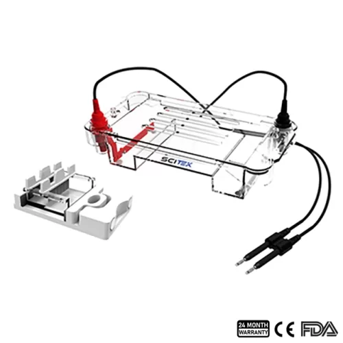 Horizontal Electrophoresis Tank