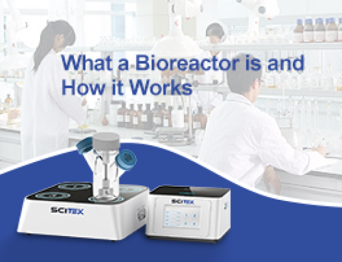 What a Bioreactor is and How it Works